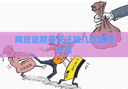 网贷逾期每天还款几次如何处理
