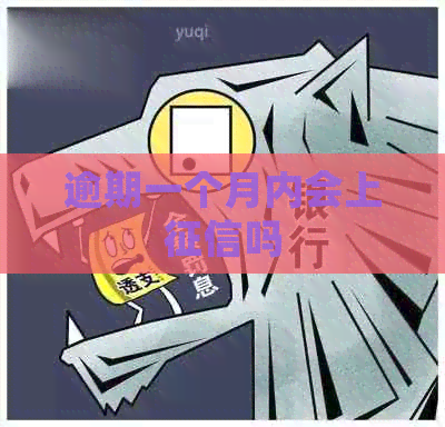 逾期一个月内会上吗
