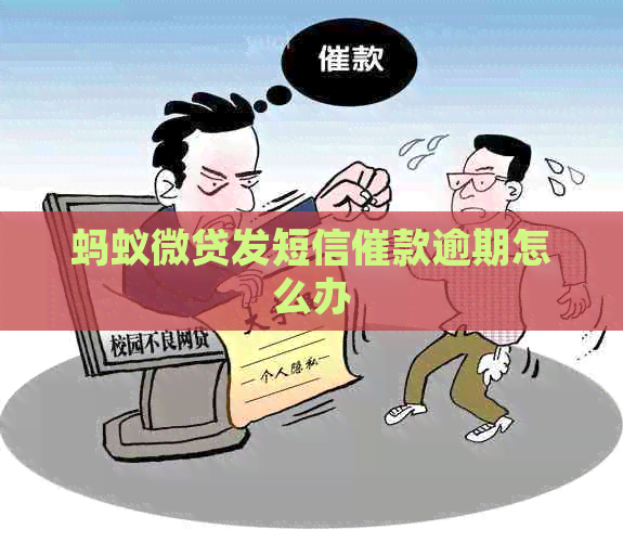 蚂蚁微贷发短信催款逾期怎么办