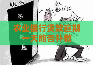 农业银行贷款逾期一天能否补救