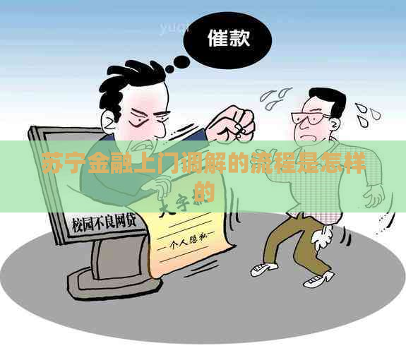 苏宁金融上门调解的流程是怎样的