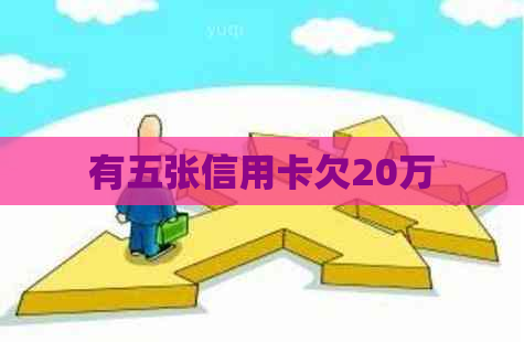 有五张信用卡欠20万