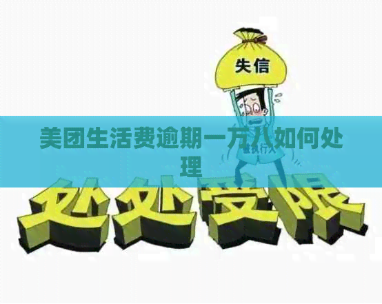 美团生活费逾期一万八如何处理
