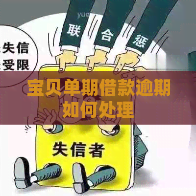 宝贝单期借款逾期如何处理