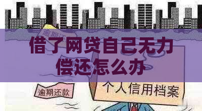 借了网贷自己无力偿还怎么办