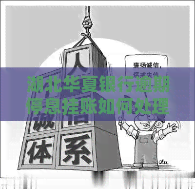 湖北华夏银行逾期停息挂账如何处理