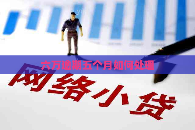 六万逾期五个月如何处理