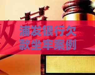 浦发银行欠款坐牢案例
