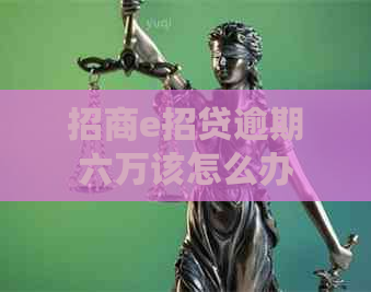 招商e招贷逾期六万该怎么办
