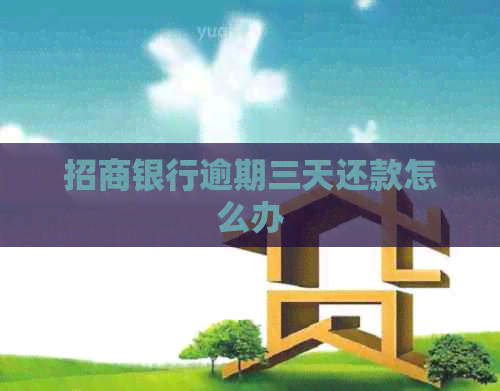 招商银行逾期三天还款怎么办
