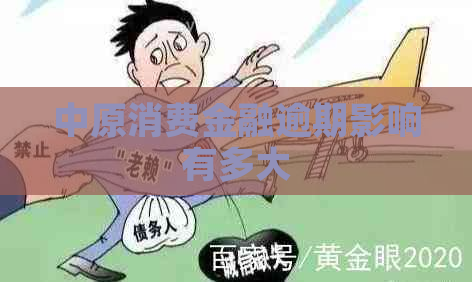 中原消费金融逾期影响有多大
