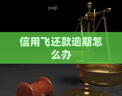 信用飞还款逾期怎么办