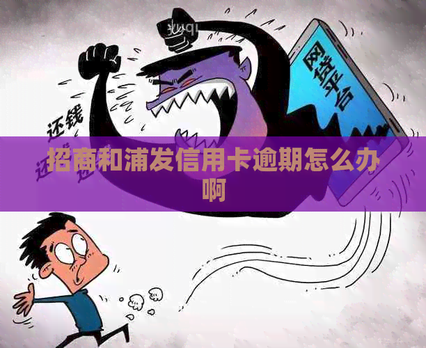 招商和浦发信用卡逾期怎么办啊