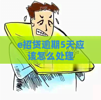 e招贷逾期5天应该怎么处理