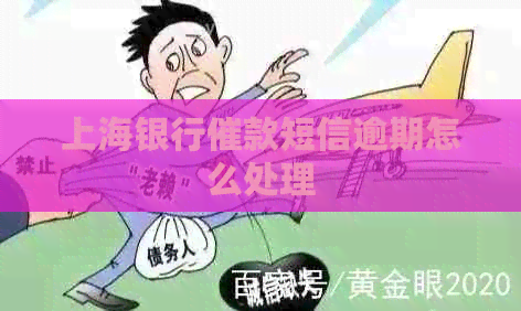 上海银行催款短信逾期怎么处理