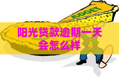 阳光贷款逾期一天会怎么样