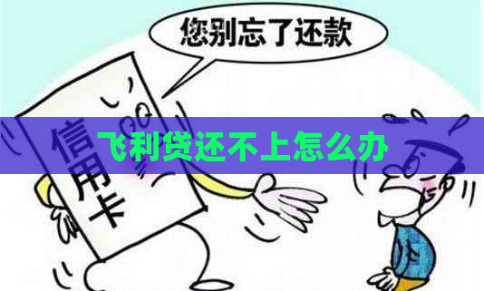 飞利贷还不上怎么办