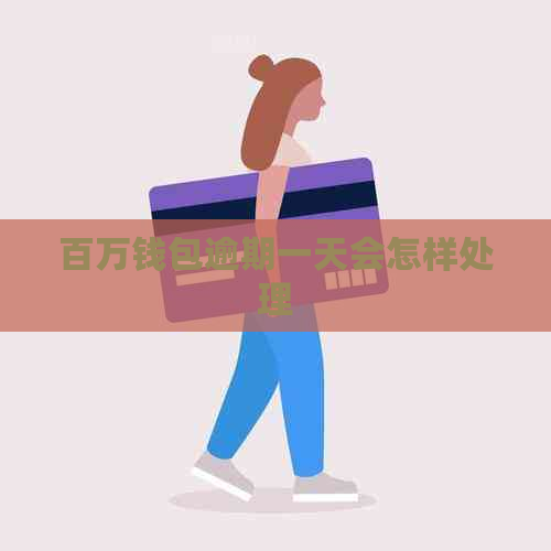 百万钱包逾期一天会怎样处理