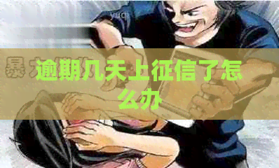 逾期几天上了怎么办