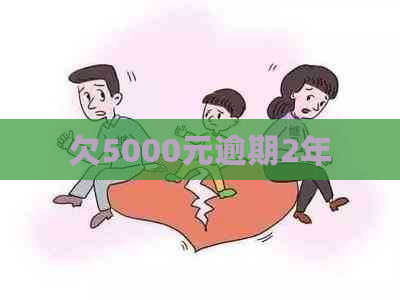 欠5000元逾期2年
