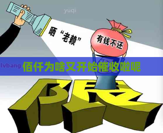 佰仟为啥又开始啦呢