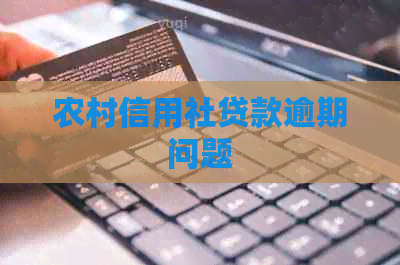 农村信用社贷款逾期问题