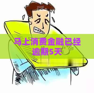 马上消费金融已经逾期5天