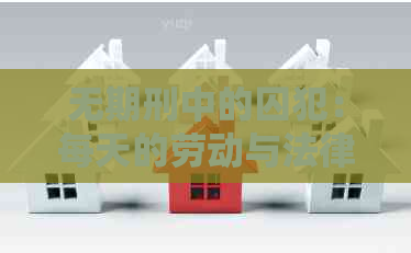 无期刑中的囚犯：每天的劳动与法律挑战