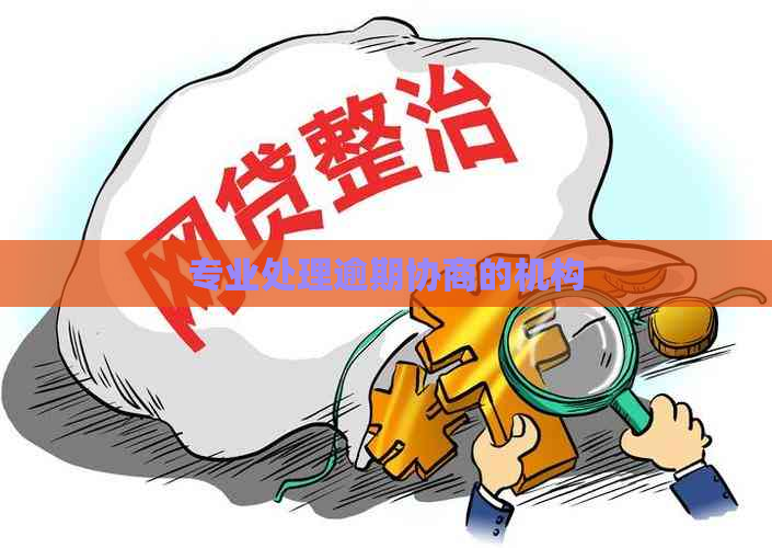 专业处理逾期协商的机构