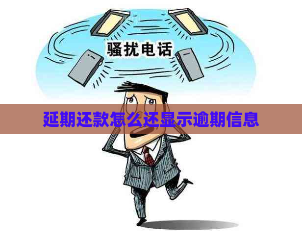延期还款怎么还显示逾期信息