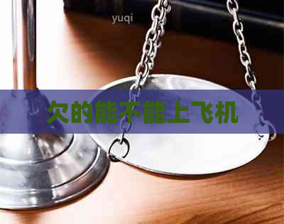 欠的能不能上飞机