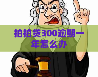 300逾期一年怎么办