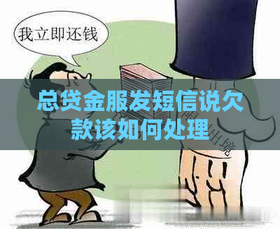 总贷金服发短信说欠款该如何处理