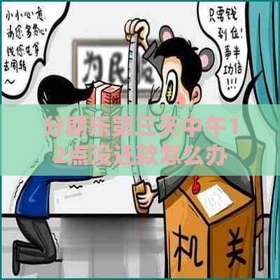 第三天中午12点没还款怎么办