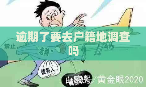 逾期了要去户籍地调查吗