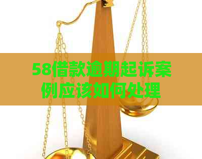 58借款逾期起诉案例应该如何处理