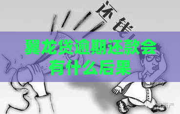 翼龙贷逾期还款会有什么后果