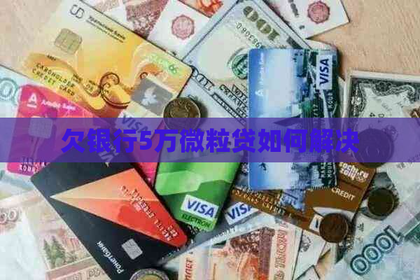 欠银行5万微粒贷如何解决