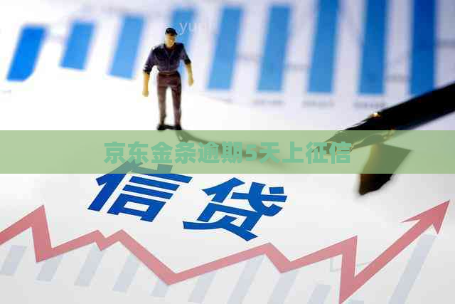 京东金条逾期5天上