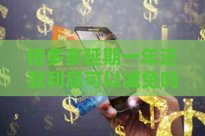桔多多延期一年还款利息可以减免吗