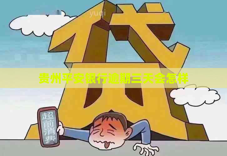 贵州平安银行逾期三天会怎样