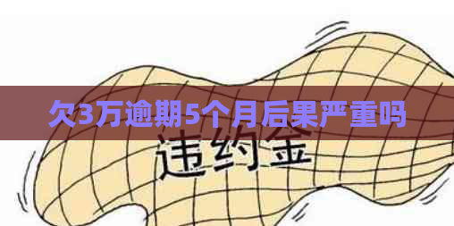 欠3万逾期5个月后果严重吗