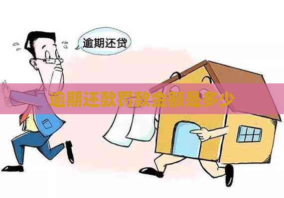 逾期还款罚款金额是多少