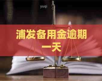 浦发备用金逾期一天