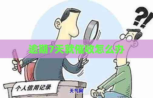 逾期7天就怎么办