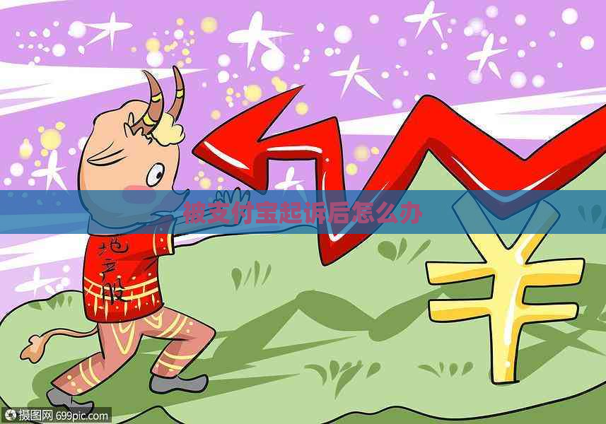 被支付宝起诉后怎么办