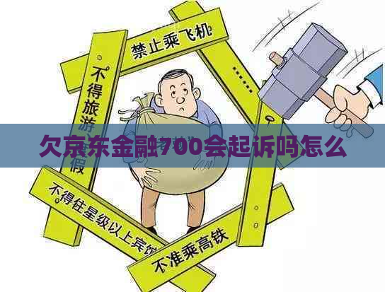 欠京东金融700会起诉吗怎么