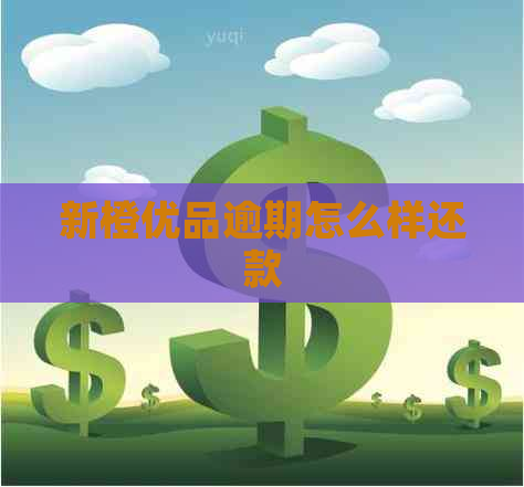 新橙优品逾期怎么样还款