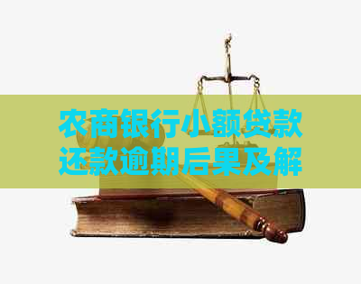 农商银行小额贷款还款逾期后果及解决办法