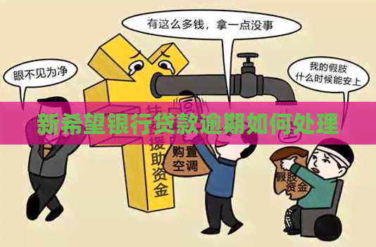 新希望银行贷款逾期如何处理